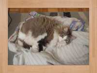 https://images.plurk.com/7dpvRfWJcTRAR1wWZfaxSi.png