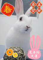 https://images.plurk.com/7dtO7hoL8uhvWhtMQlW1q1.jpg