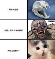 https://images.plurk.com/7duw5lYBKPVVijvB1BHsyP.jpg