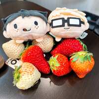 https://images.plurk.com/7dxXRpPpbCi1pPnR0Nmke7.jpg