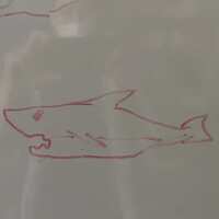 https://images.plurk.com/7dy0q6f2kiPVt11Vkob6ul.png