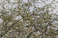 https://images.plurk.com/7e1XbCT8DXzS8FCAs7ZzQD.jpg