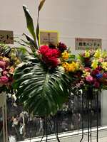 https://images.plurk.com/7e5XFzseQASoktMd0rs0ss.jpg