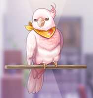 https://images.plurk.com/7eQZoADR0fxd7TM3n3bwRA.png