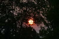 https://images.plurk.com/7ea2tY2KN972tTDULsEMma.jpg
