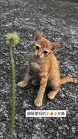 https://images.plurk.com/7ebUoD1UtBYbkPg7agHiuF.jpg