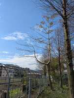 https://images.plurk.com/7ejPbRHGVMgCQobjrhVceq.jpg