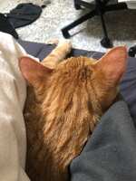 https://images.plurk.com/7et1B2EZkxTk8QuwTXbaDO.jpg