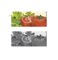 https://images.plurk.com/7f47E7yViyNBIUpRDoGz.png