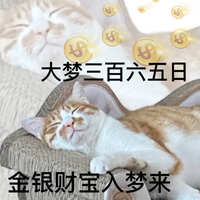 https://images.plurk.com/7f5h6sVnZClrDIomBMldQr.jpg