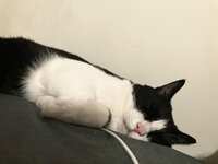 https://images.plurk.com/7f75MJHrWLMULJzvEyeUWg.jpg