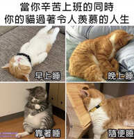 https://images.plurk.com/7fB490nnVZcTJ8pyZO4DjR.jpg