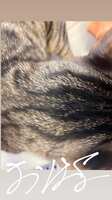 https://images.plurk.com/7fIkG4103Ym752OKfhyJc9.png