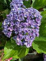 https://images.plurk.com/7fLwopfy9IusqhmchdkT6i.jpg