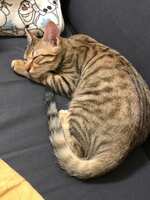 https://images.plurk.com/7fOJRWTDPMfr2ts2m553ha.jpg