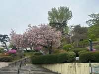 https://images.plurk.com/7fTaDd5aLCjECJ0sJmLrVz.jpg