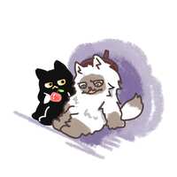 https://images.plurk.com/7fVFBbX9TepDopTlBH0yoj.jpg