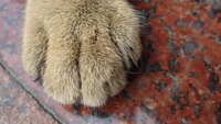 https://images.plurk.com/7fZmJqRyQ5HcCvpKB4Bppq.jpg