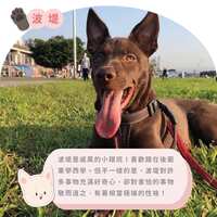 https://images.plurk.com/7fdUrr9Fw8ecemCYu9ZS6.jpg