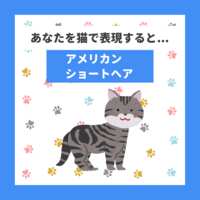 https://images.plurk.com/7fgej2bguWr8RfAfPGlcsc.png