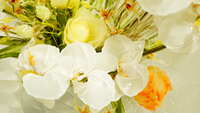 https://images.plurk.com/7fjZzLGTwa32pL5x8clDRG.jpg