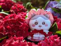 https://images.plurk.com/7fjoON4NwT0OYsuBBIc7hG.jpg