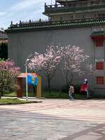 https://images.plurk.com/7fw7kbHFiVN0AiUorgGSrb.jpg