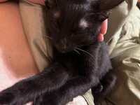https://images.plurk.com/7g1m2aWDlz4sTwxTc9Evp3.jpg