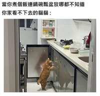 https://images.plurk.com/7gArO4eUSeTgNqfn9TxpCT.jpg