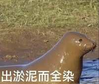 https://images.plurk.com/7gFdz4VXSj08dHOkwOISUx.jpg