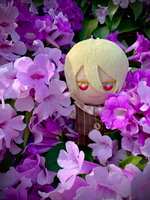 https://images.plurk.com/7gHSoP0B5UpRC1zmqqydIQ.jpg