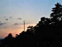 https://images.plurk.com/7gHb3Z2nZMurbS9J9W5xT0.jpg