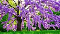 https://images.plurk.com/7gJDDiwMcgfXh1tFePv9bc.png