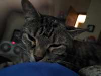 https://images.plurk.com/7gQLRQA1mIprjXMzyA6oIx.jpg