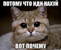 https://images.plurk.com/7gRbzZZRZA7gp4aKlYHZ4h.png