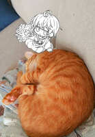 https://images.plurk.com/7gSV2OtFkAk97QxgmPybY3.jpg