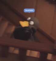 https://images.plurk.com/7gcalubiX9sRDAyFdi75nt.png
