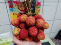 https://images.plurk.com/7gd311uTd2X6aXUNMrs7bn.jpg