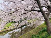 https://images.plurk.com/7ghQqgIGQQtxbG4MI7tL84.jpg