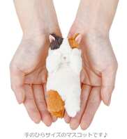 https://images.plurk.com/7gvVglw1oqTrMT7V1k0viw.jpg