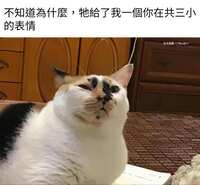 https://images.plurk.com/7gyyAC5BsUwt1hLDbYhz95.jpg