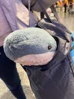 https://images.plurk.com/7h2kxCuGjbgAi1xQD9ewBx.jpg