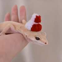 https://images.plurk.com/7h3Javh4wSQafPpM0NN1m4.jpg