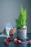 https://images.plurk.com/7h9nQ3UswMP2Pfo9ReGeMI.jpg