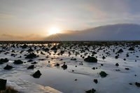 https://images.plurk.com/7hCAbDxWj8lvoS0meA7N.jpg