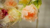 https://images.plurk.com/7hFwjUJC1KR4exy4BQ4KfR.jpg