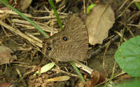 https://images.plurk.com/7hJdP541bjEGxXed51BJTd.jpg