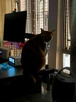 https://images.plurk.com/7hVoD09uCfKNiKdWZvh8jP.jpg