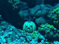 https://images.plurk.com/7hWsii801oUUy5OZOapzi8.jpg