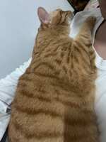 https://images.plurk.com/7hgkoK4rDocyLXHNgZoCl3.jpg